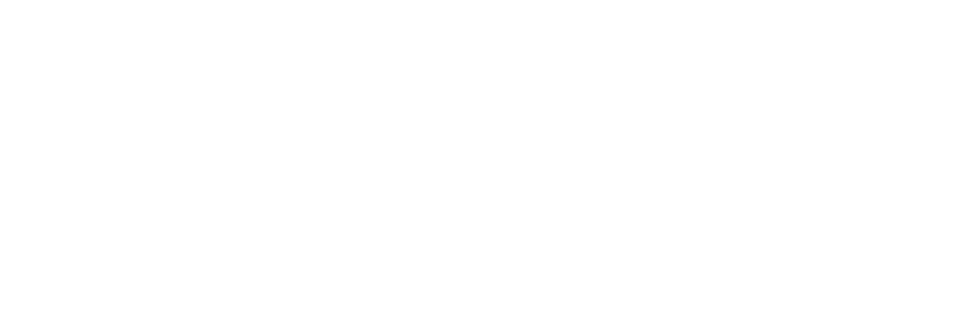 Licenz-Main-Logo-White